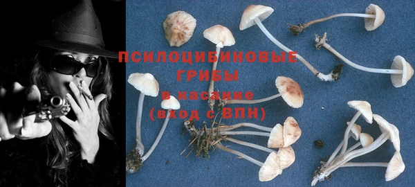 стаф Рославль