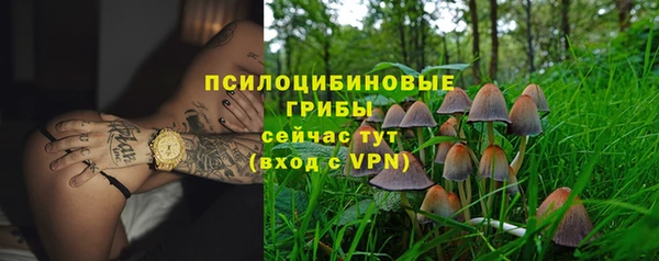 спиды Арсеньев
